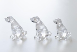 レトリバーS クリア