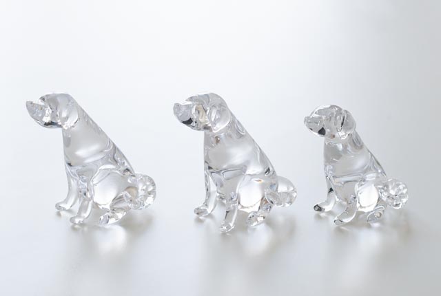 レトリバーS クリア