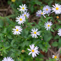 10月の店休日について