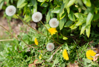 3月の店休日について