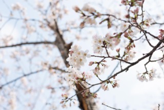 4月の店休日について