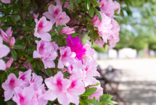 5月の店休日について