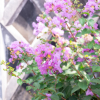 夏季休暇についてご案内